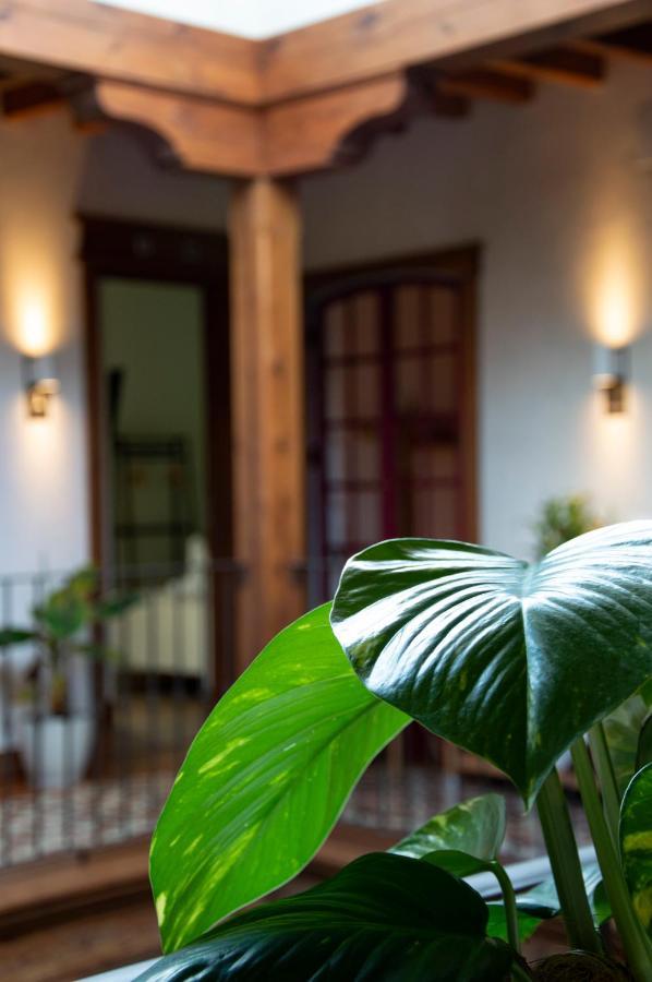 La Casa Del Medico Hosteria Rural Urda Zewnętrze zdjęcie
